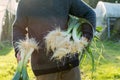 Person Clutching Leeks with Washed Roots