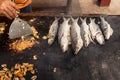 Person cooking mussels and fish on a grill