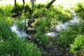 A person crossing the small river catasol in penalties, la coruÃÂ±a