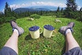 Person with cups blueberries while looking on background of sunny mountains grass forest and hills