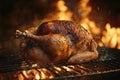 A person is currently cooking a chicken over a blazing fire using a fork Royalty Free Stock Photo