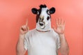 Person disguised as a cow counting the number six on his fingers