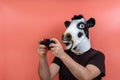 Person disguised as a cow playing a video game