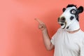 Person disguised as a cow pointing with finger