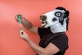 Person disguised as a latex cow mask preparing injection for vaccination