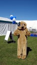 A person dressed in a dog costume in an life event