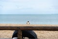 A person enjoying the calm sea from Ribeira beach in Salvador, Bahia