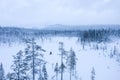 Person fatbiking in Pallas-Yllastunturi national park 03