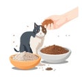 a person feeding a cat food from a bowl of food