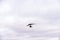 Person flying away into the horizon on a small aircraft single seat microlight as a hobby or sport in the air Royalty Free Stock Photo