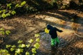 Person in the forest. Asian child fishing with a net to discover nature. One boy in blue playing in a stream Royalty Free Stock Photo
