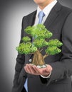 A person in formal suit holds a sketched tree on the palm