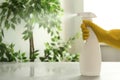 Person in gloves spraying detergent at table, closeup. Space for text