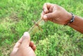 Person Grabbing a Grasshopper by the Wings