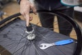 Person greasing the freehub of a bicycle wheel while maintenance service