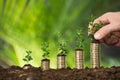 Person Hand Holding Small Plant On Stacked Coins Royalty Free Stock Photo