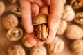 Person hand with open walnut above walnuts on wooden background