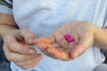 Person hand with pills. Woman holding two pink pills in hand. Healthcare, medicine concept. Patient take medicament, supplements, Royalty Free Stock Photo