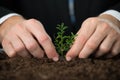 Person Hand Planting Small Tree Royalty Free Stock Photo
