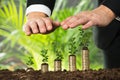 Person Hand Protecting Small Plant On Stacked Coins Royalty Free Stock Photo