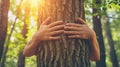 Person hands hugging tree, nature connection, love for environment Royalty Free Stock Photo