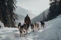 A person hiking with sled dogs AI generated