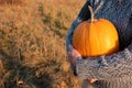 A person holding big orange pumpkin on hay field background. Female hands in gray sweater with huge pumpking. Royalty Free Stock Photo