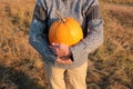 A person holding big orange pumpkin on hay field background. Female hands in gray sweater with huge pumpking. Royalty Free Stock Photo