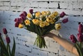 person holding bouquet of yellow and purple tulips on white brick Royalty Free Stock Photo