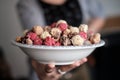 Person holding a bowl of sweet colorful popcorn Royalty Free Stock Photo