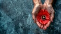 A person is holding a bright red poppy flower in their hands, symbolizing Remembrance Day. Dark grey background, Copy Royalty Free Stock Photo