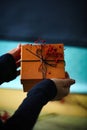 Person Holding Brown Box With Red Berries, Copy Space Royalty Free Stock Photo