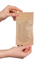 A person is holding a brown paper bag Royalty Free Stock Photo