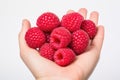 A Person Holding A Bunch Of Raspberries In Their Hand Royalty Free Stock Photo