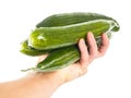 Person holding cucumbers on white Royalty Free Stock Photo