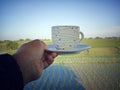 Person holding cup of morning coffee or tea on clear blue sky over the green paddy field. Royalty Free Stock Photo