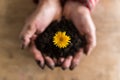 Person holding a dandelion in rich fertile earth