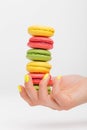Person holding different macaroons Royalty Free Stock Photo