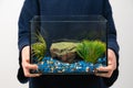 Person holding fish tank aquarium with no water and fish on white background. Fist pet