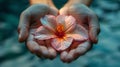 Person Holding Flower in Hands Royalty Free Stock Photo