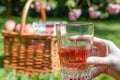 person holding a glass of ros with a picnic basket in the background Royalty Free Stock Photo