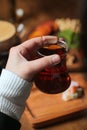 Person Holding a Glass of Wine Royalty Free Stock Photo