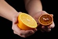 Orange and blood or red orange fruit halves in hands on black background Royalty Free Stock Photo