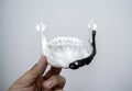 Person holding in hand 3D printed prototype human lower jaw and titanium implant