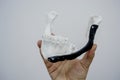 Person holding in hand 3D printed prototype human lower jaw and titanium implant