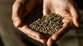 A person holding a handful of green coffee beans Royalty Free Stock Photo