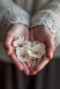 A person holding a handful of white flowers in their hands, AI Royalty Free Stock Photo