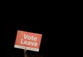 An unknown person holding a Vote Leave sign