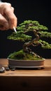 A person is holding a knife and cutting into the bonsai tree, AI Royalty Free Stock Photo