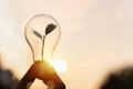 A person is holding a light bulb with a plant growing out of it. The person is standing in front of a sunset. Light bulb is Royalty Free Stock Photo